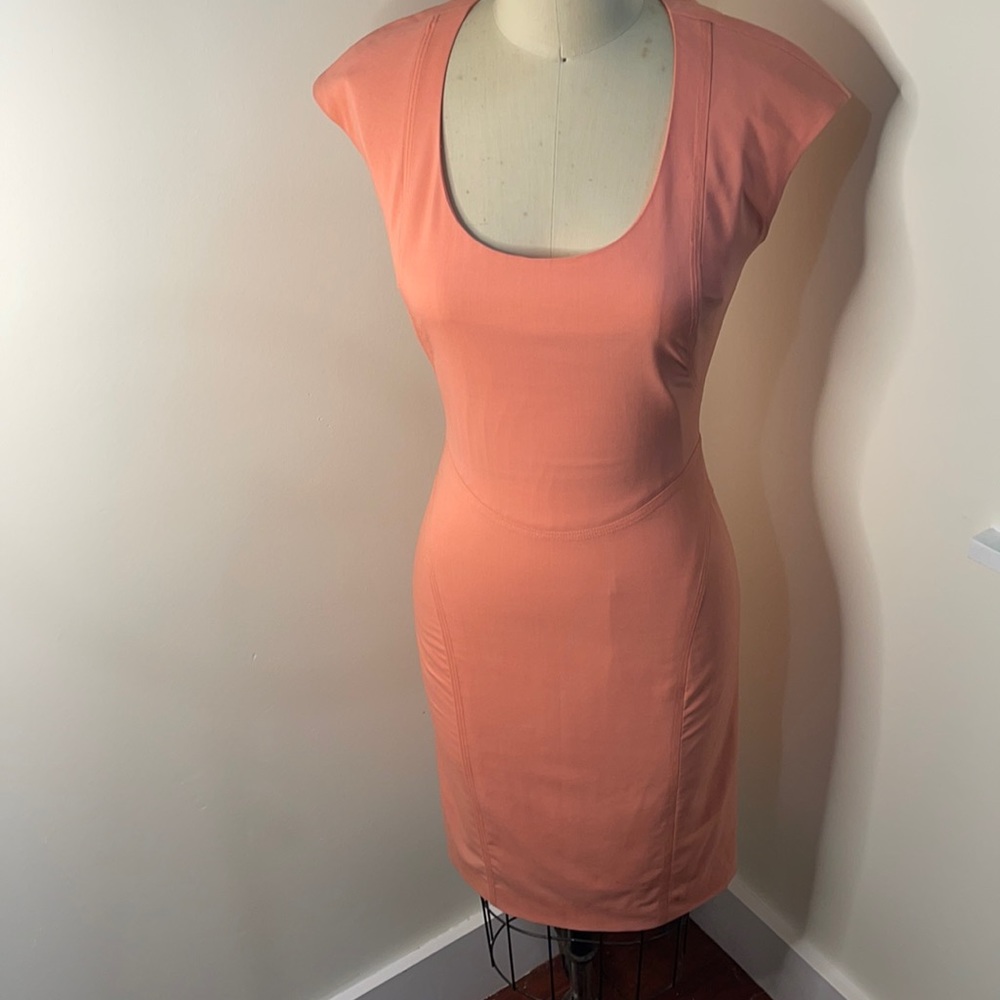 Rachel Roy Peach Dress